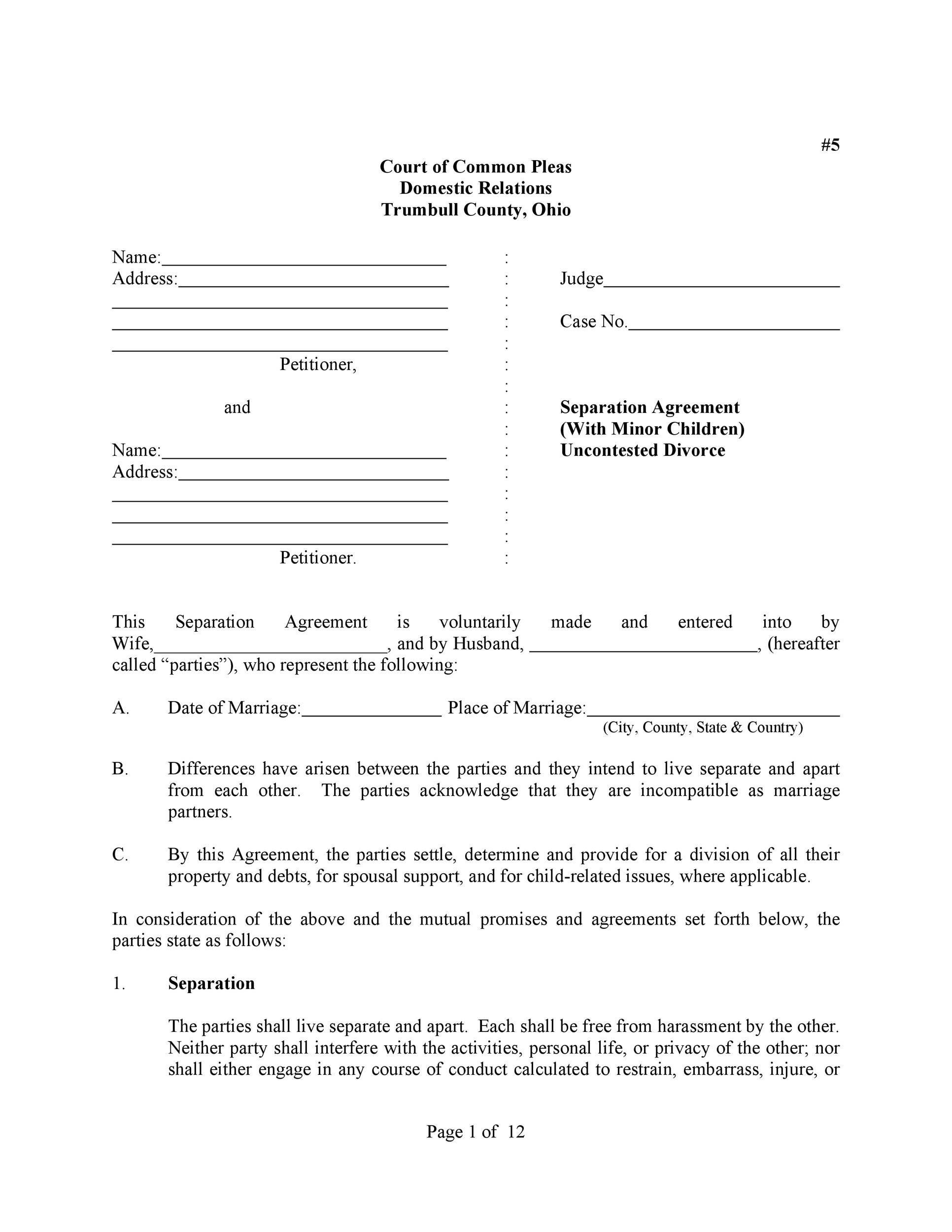 42 Divorce Settlement Agreement Templates 100 FREE 