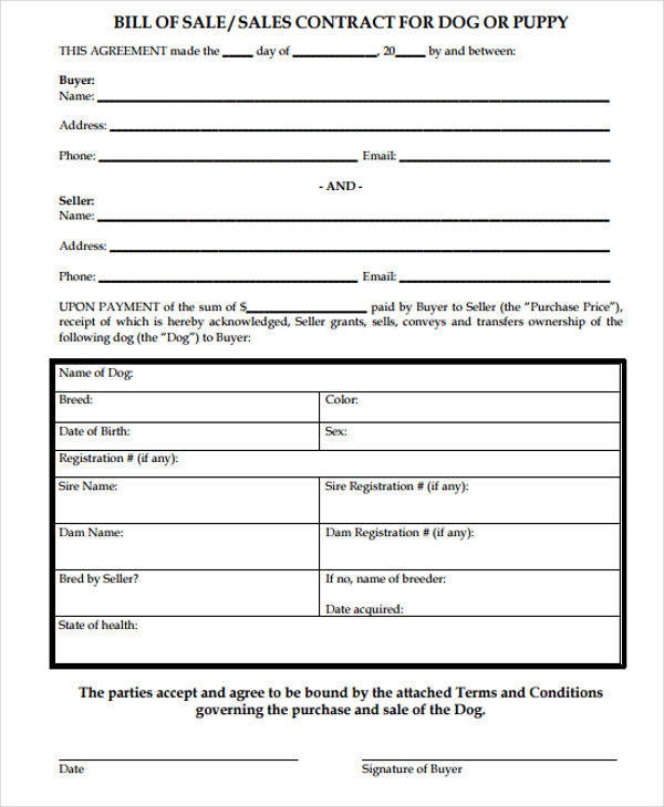 FREE 7 Puppy Sales Contract Samples Templates In PDF MS Word 